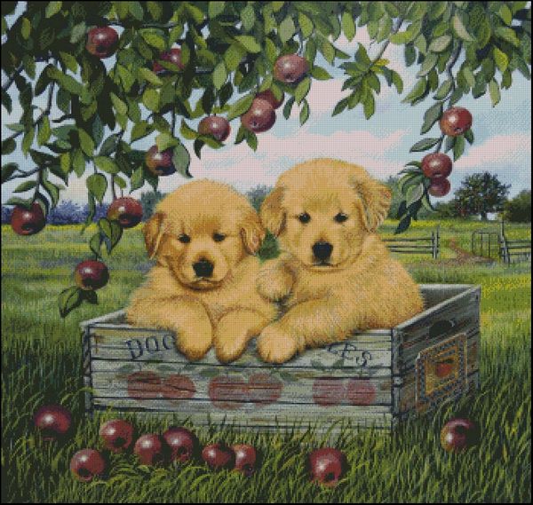 (image for) Apple Pups